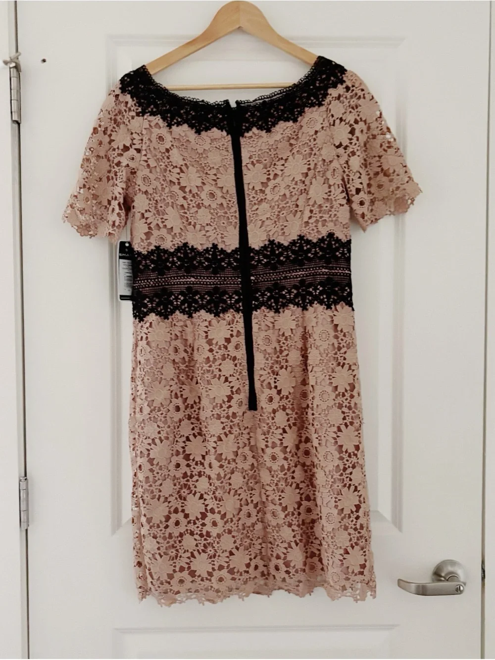 NWT SHANI Colorblock Lace Sheath Dress Champagne 10
